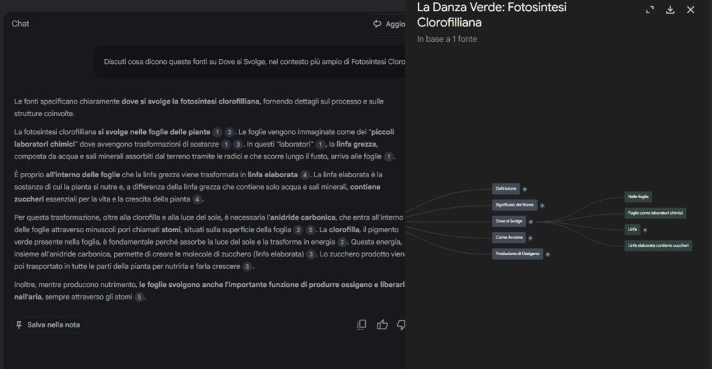 approfondimento sul "Dove si svolge la fotosintesi clorofilliana" elaborato da NotebookLM