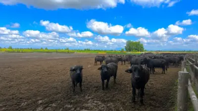 Paidea Magazine Esperia Campo Bufale