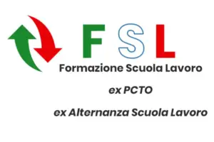 Formazione Scuola Lavoro FSL - Paidea Magazine